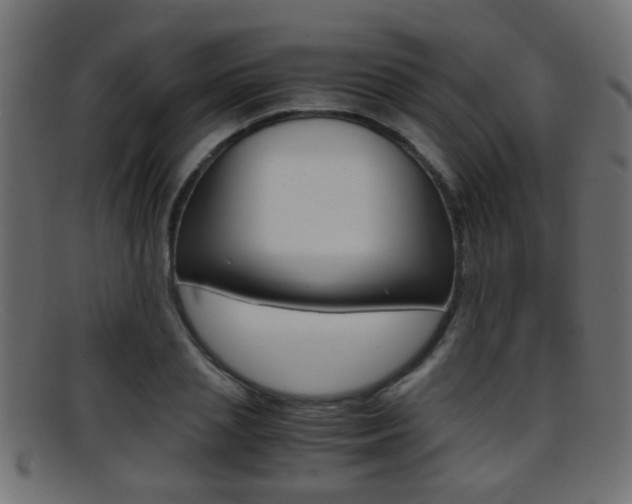X0000095690837200801081037
