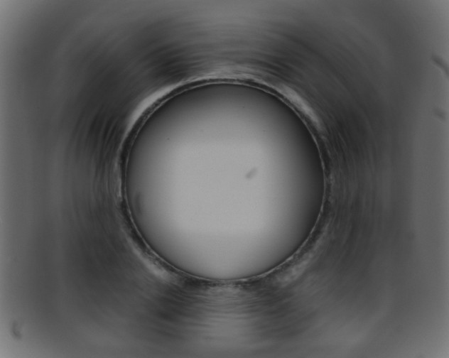 X0000095690838200801081037