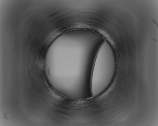 X0000095690841200801081037