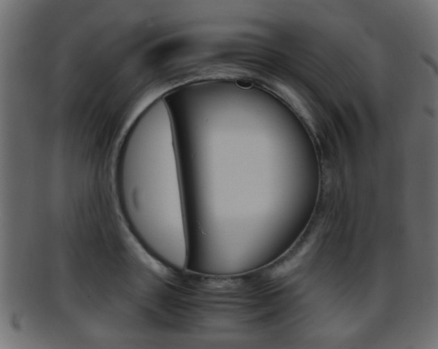 X0000095690843200801081037
