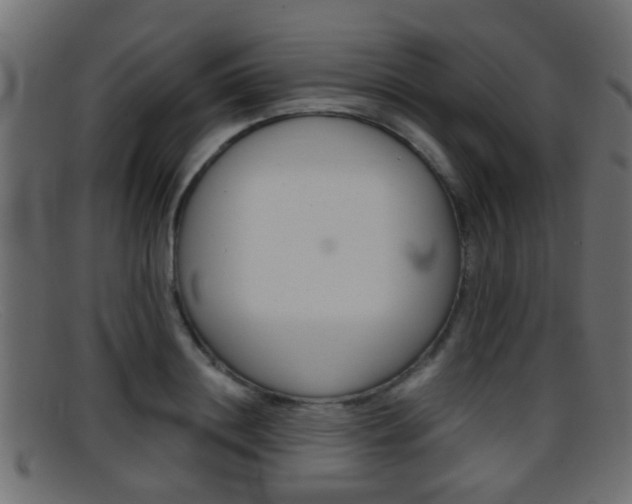 X0000095690844200801081037