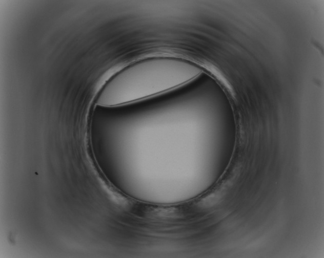 X0000095690845200801081037