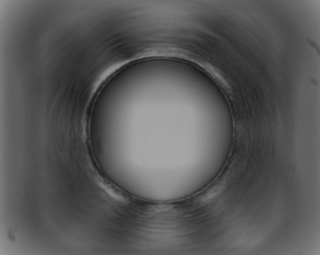 X0000095690846200801081037