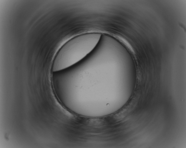X0000095690847200801081037