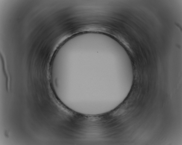 X0000095690848200801081037