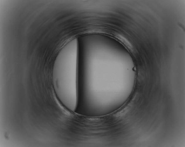 X0000095690849200801081037