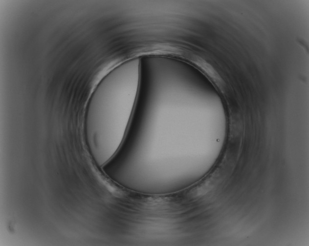 X0000095690850200801081037