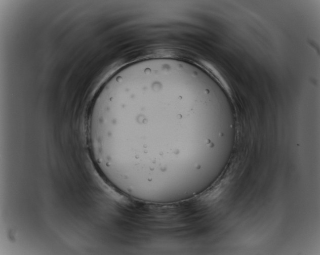 X0000095690851200801081037
