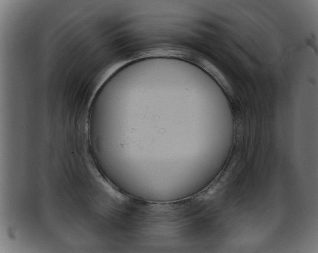 X0000095690852200801081037