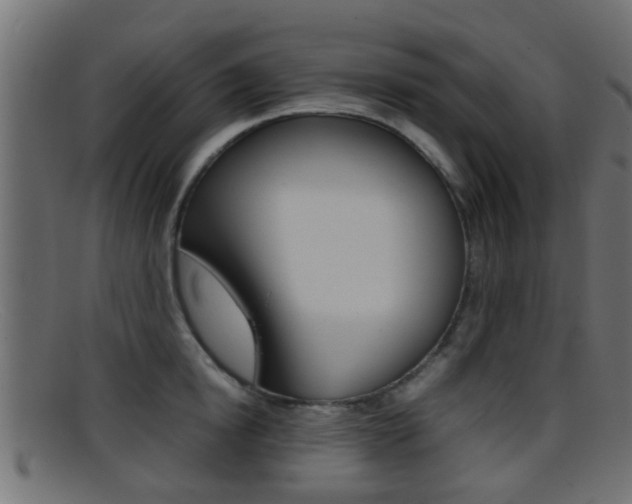 X0000095690854200801081037