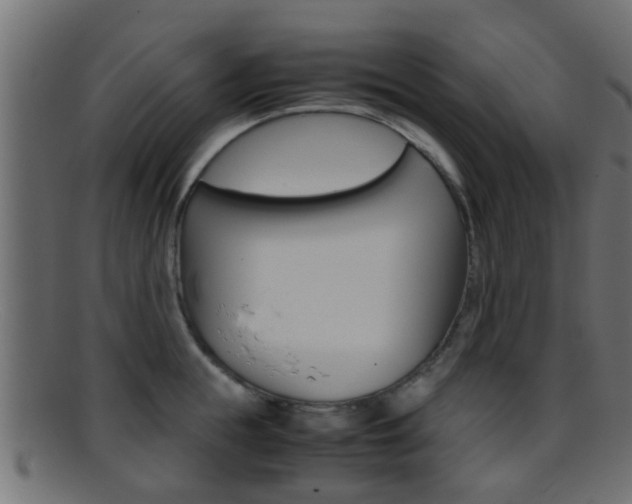 X0000095690855200801081037