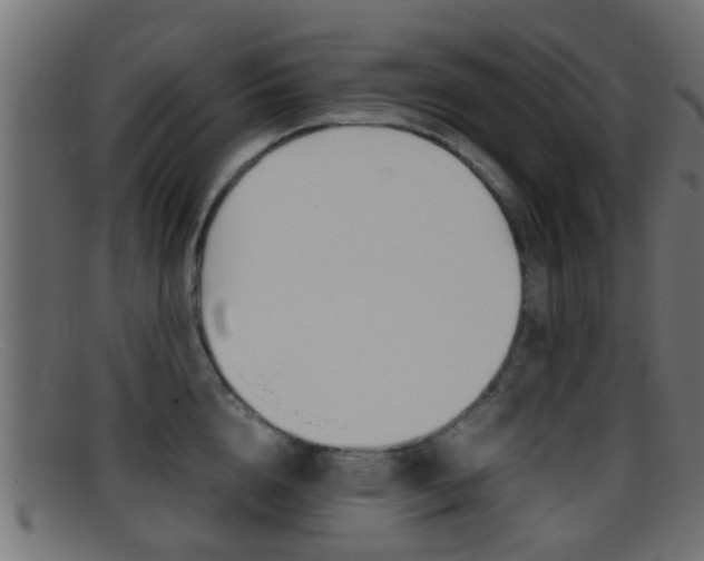 X0000095690856200801081037