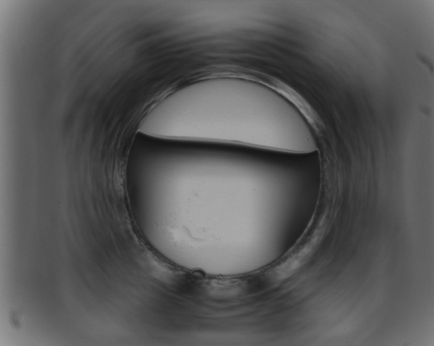 X0000095690857200801081037