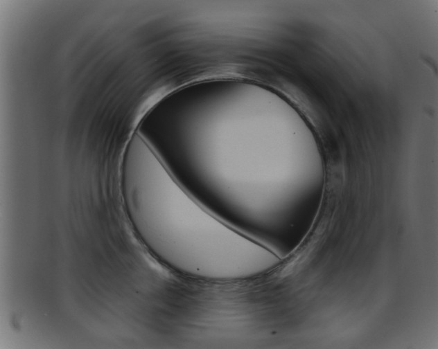 X0000095690858200801081037