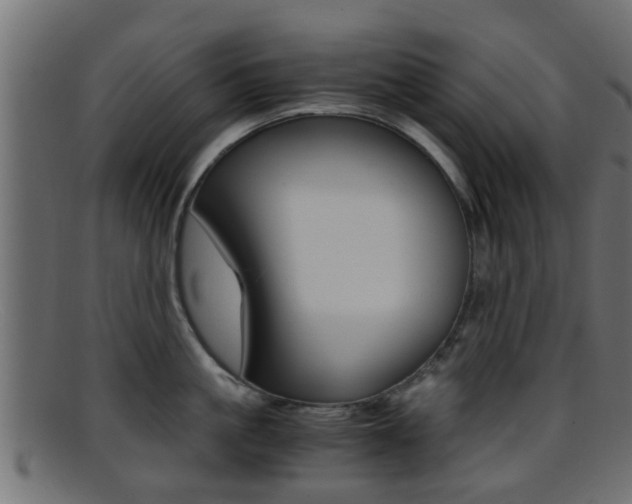 X0000095690861200801081037