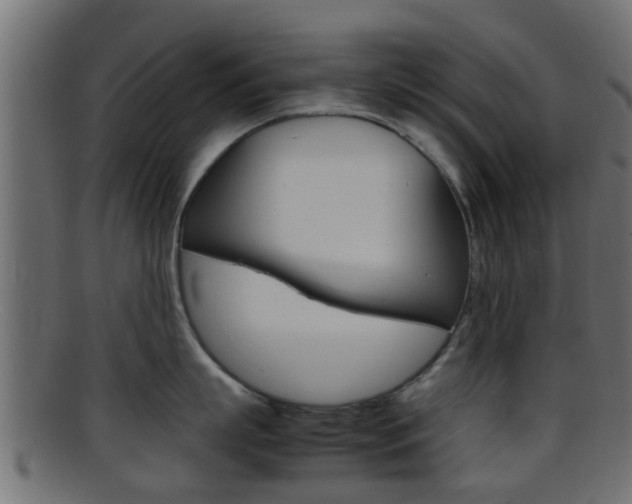 X0000095690863200801081037