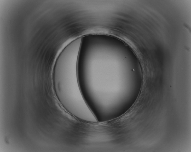 X0000095690864200801081037