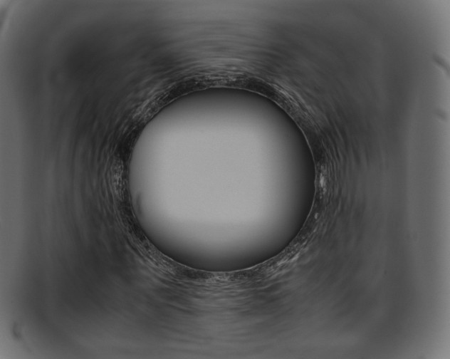 X0000095690867200801081037