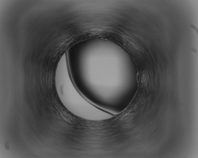 X0000095690868200801081037