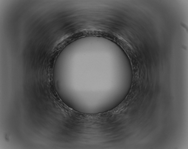X0000095690870200801081037