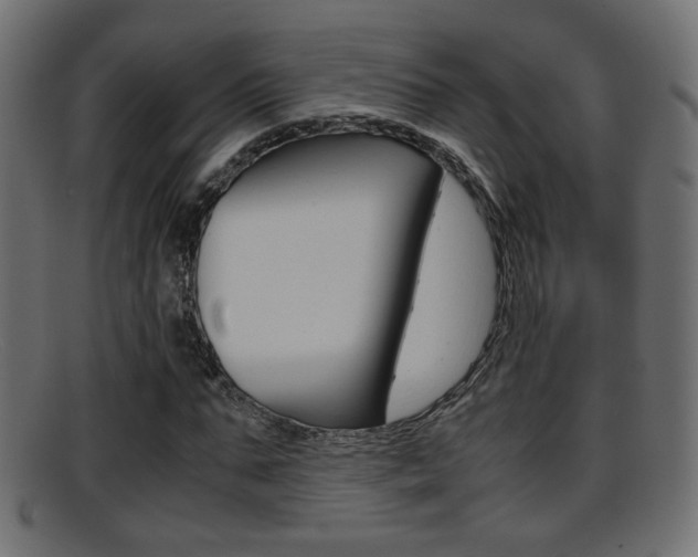 X0000095690871200801081037