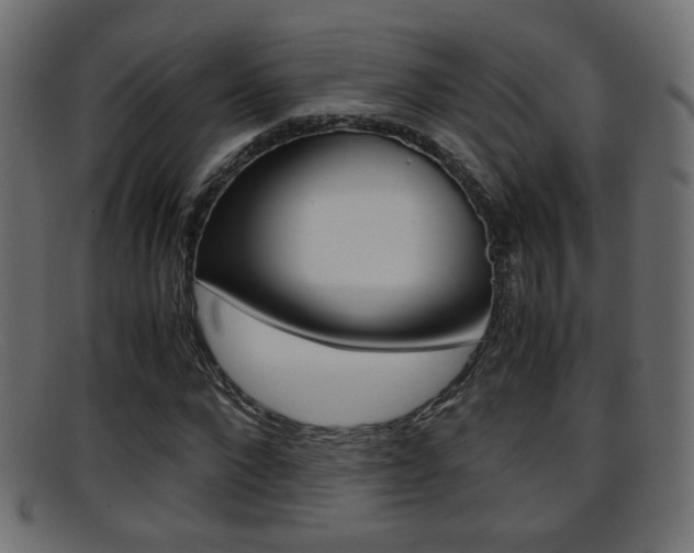 X0000095690872200801081036