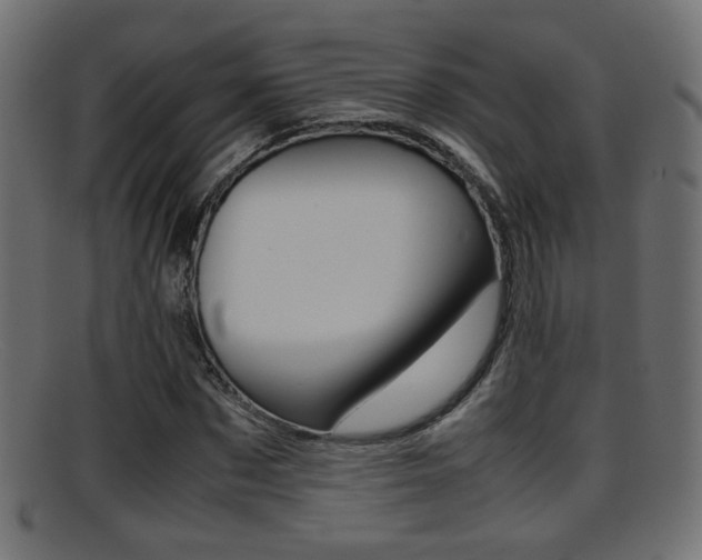 X0000095690873200801081036