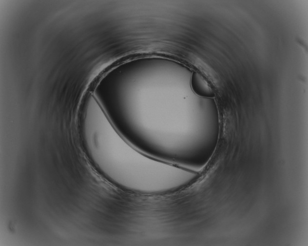 X0000095690876200801081036