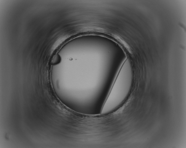 X0000095690877200801081036