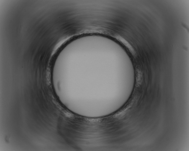 X0000095690878200801081036
