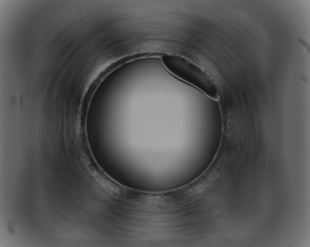X0000095690880200801081036