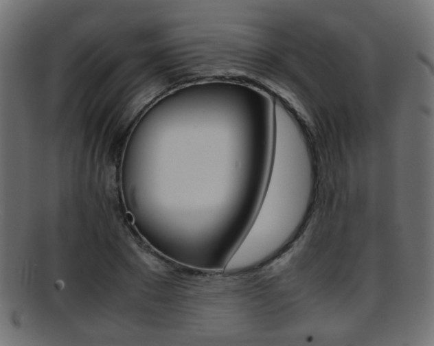 X0000095690881200801081036