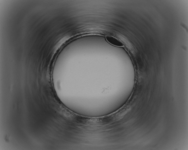 X0000095690883200801081036
