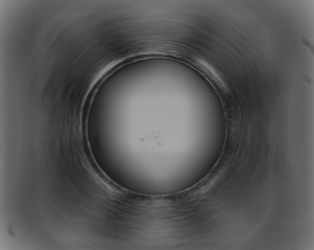 X0000095690884200801081036