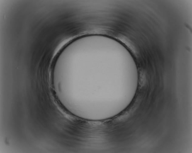 X0000095690886200801081036