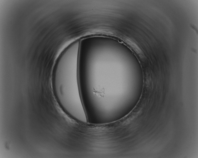 X0000095690888200801081036
