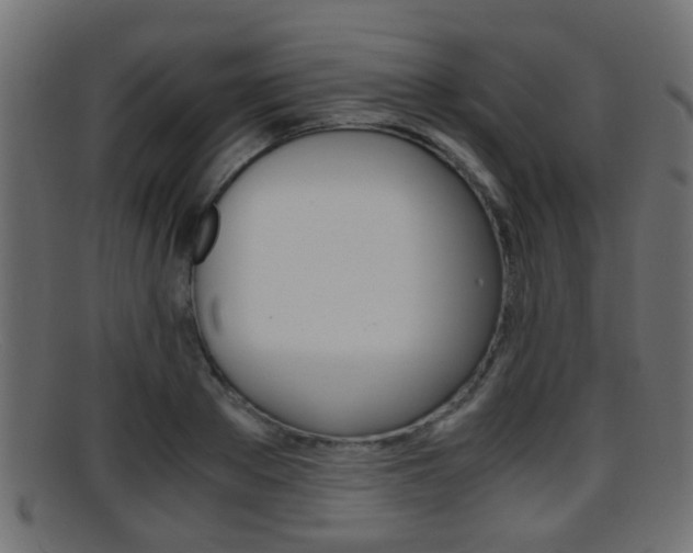 X0000095690889200801081036