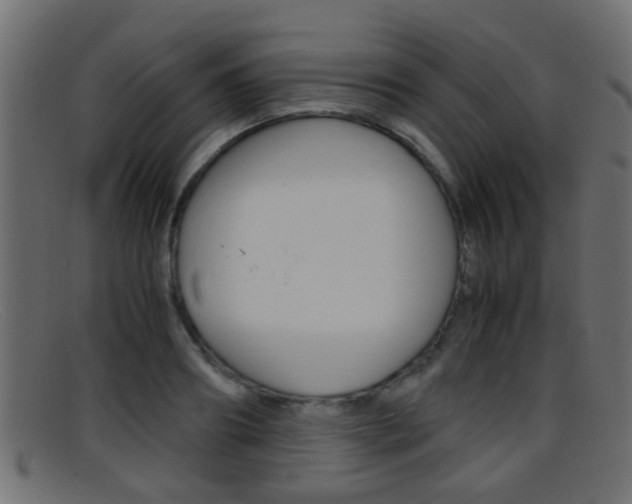 X0000095690890200801081036