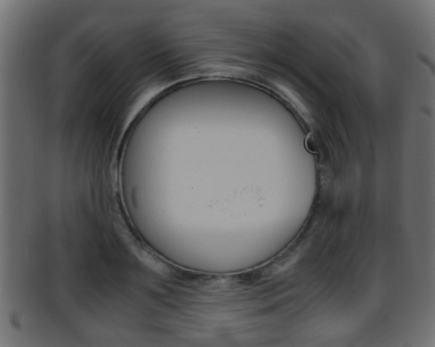 X0000095690891200801081036