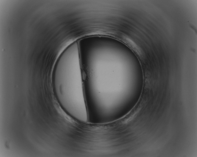 X0000095690892200801081036