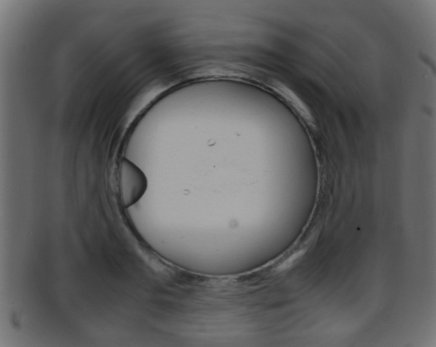 X0000095690893200801081036
