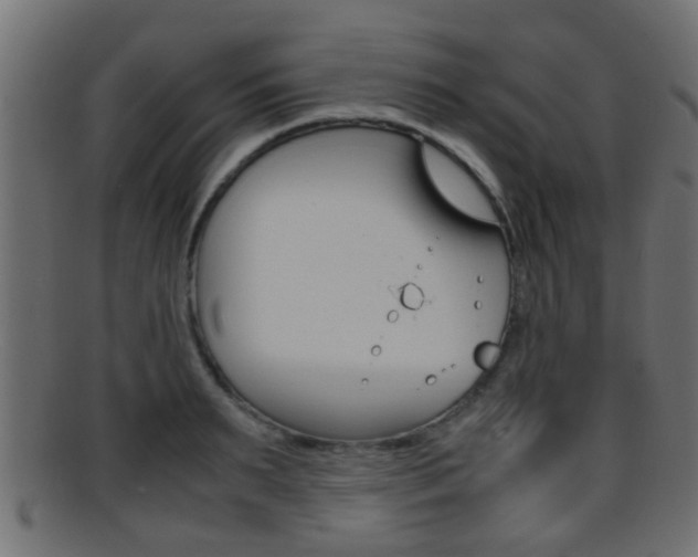 X0000095690895200801081036