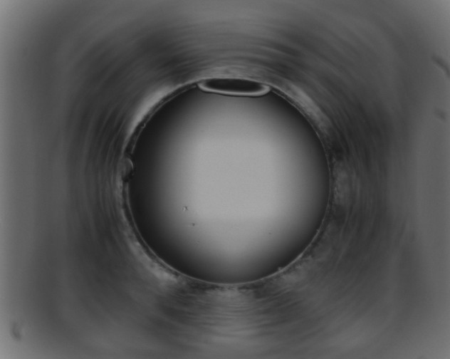 X0000095690896200801081036