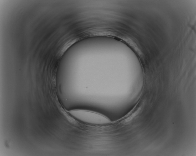 X0000095690897200801081036