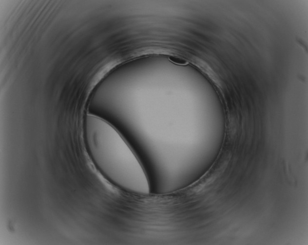 X0000095690898200801081036