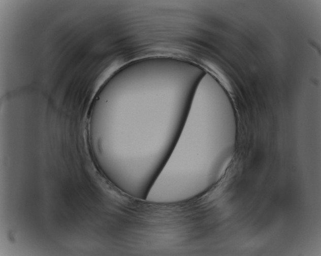 X0000095690899200801081036