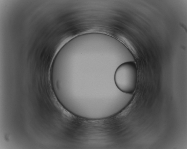 X0000095690900200801081036
