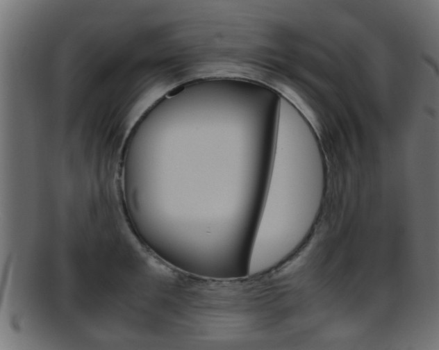 X0000095690901200801081036