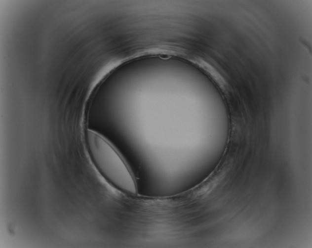 X0000095690902200801081036