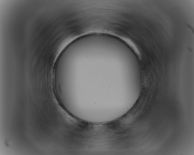 X0000095690903200801081036